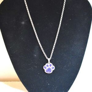 Puppy Power Blue Crushed Glass Crystals Paw Print Silver Tone Chain Necklace